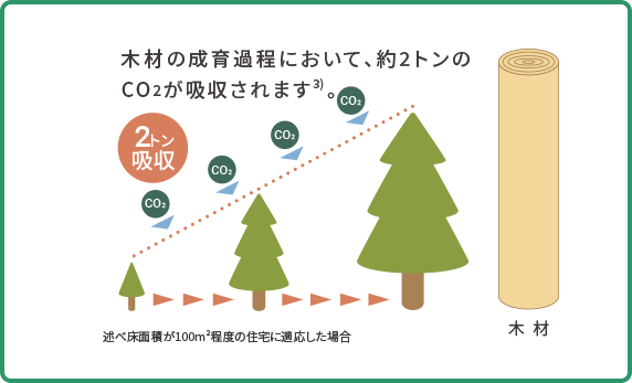 木材の成育過程において、約7トンのCO2が吸収されます。